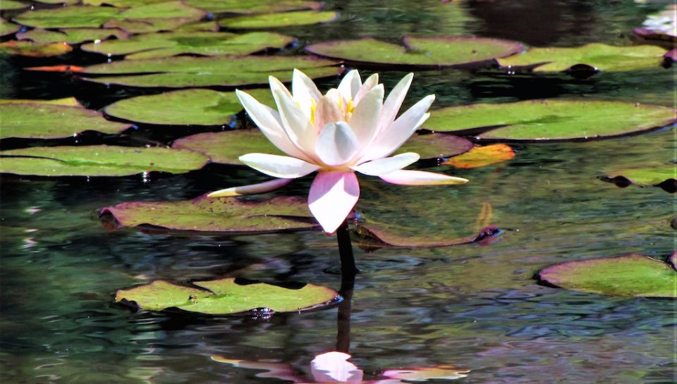 artigo de EINSTEIN-2