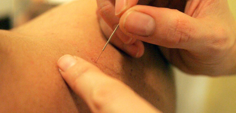 wellness-2-13 wellness-2-13