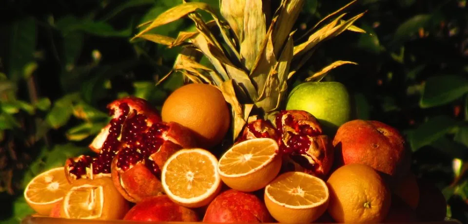 cleansing fruit drinks-2