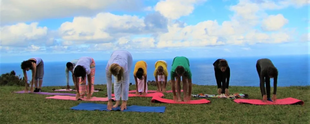4.1 Yoga and Qo Gong fusion