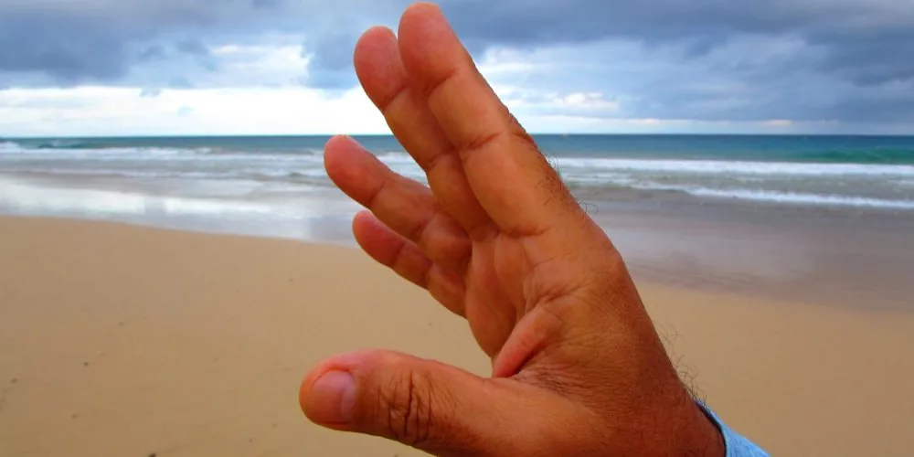5 Qigong online classes
