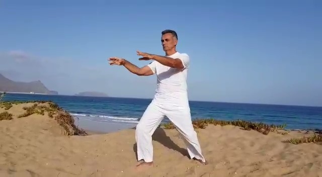 8 in person Tai-chi classes 8 in person Tai-chi classes