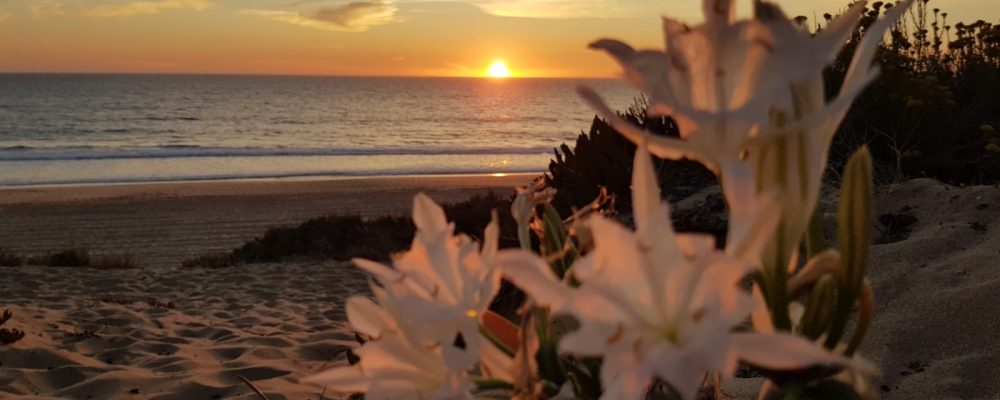 Copy of 7-1600x980 Copy of 7-1600x980