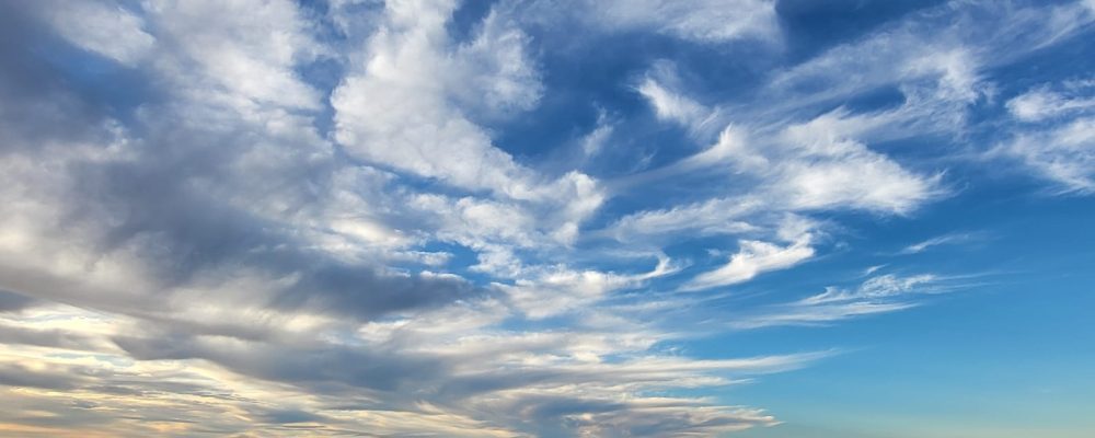 WhatsApp Image 2024-12-26 at 17.31.51_f19e181f WhatsApp Image 2024-12-26 at 17.31.51_f19e181f