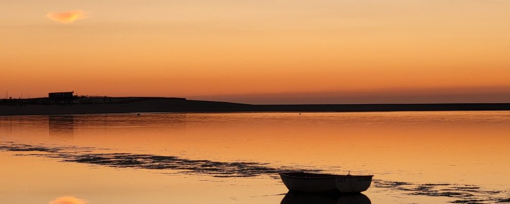 fara numar-de adaugat in plus la meditation and art fara numar-de adaugat in plus la meditation and art